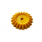 piñon conico